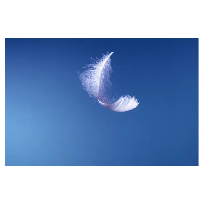 Acompañamiento Angelical